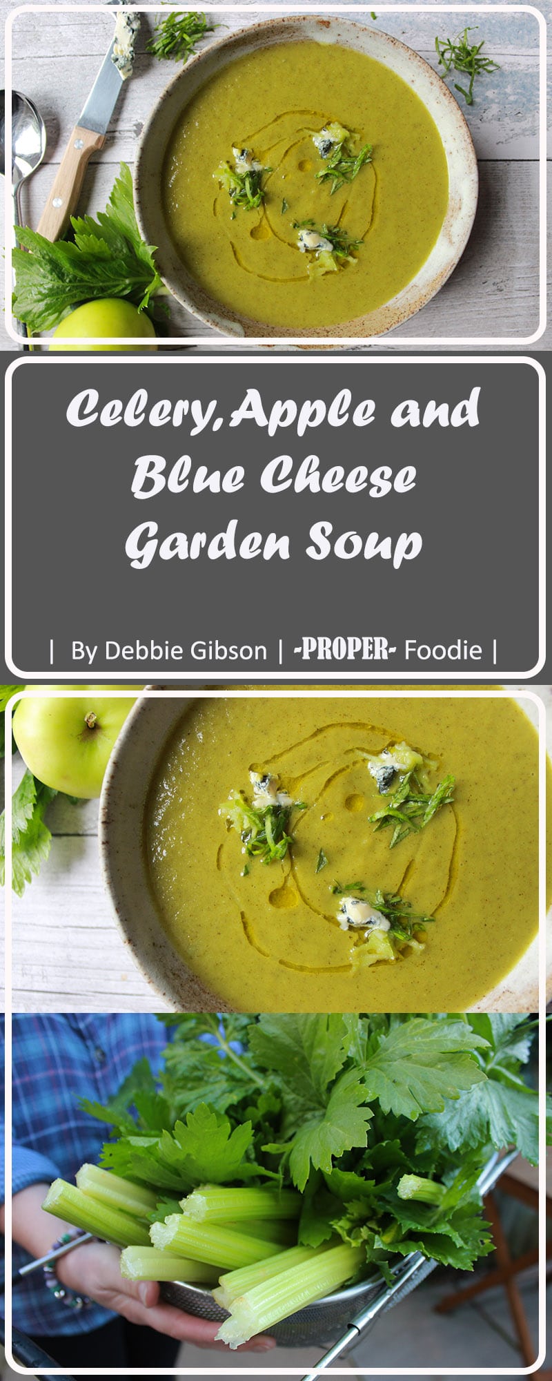 Celery, Apple and Blue Cheese Soup ProperFoodie