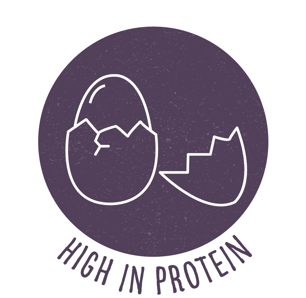 High in protein recipe